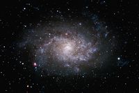 M33